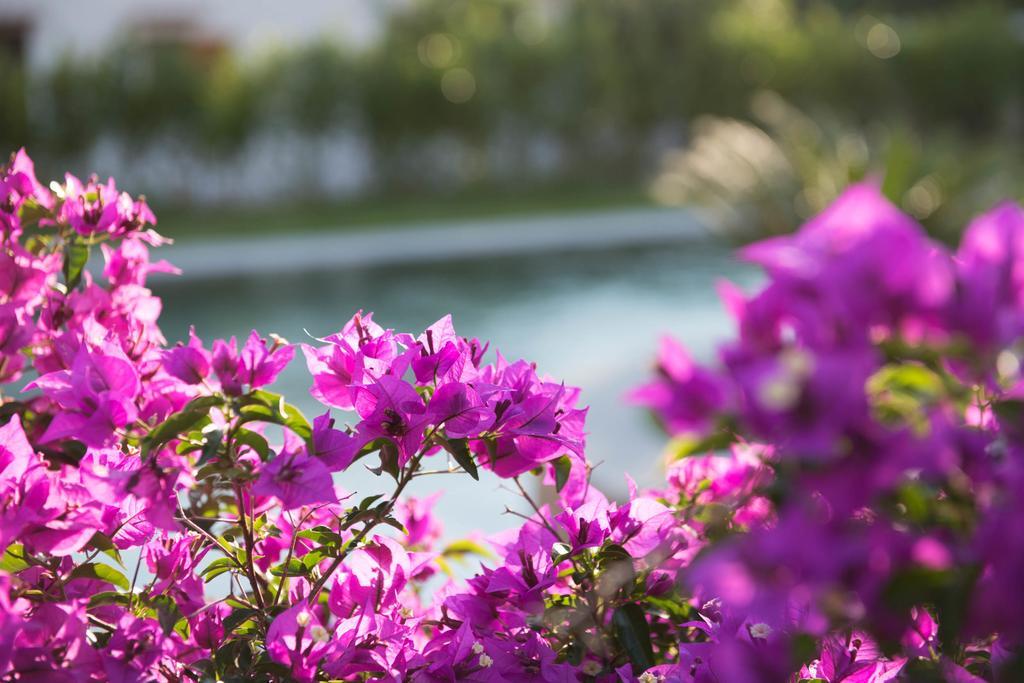 מראטיאה Romantic Hotel & Restaurant Villa Cheta Elite מראה חיצוני תמונה